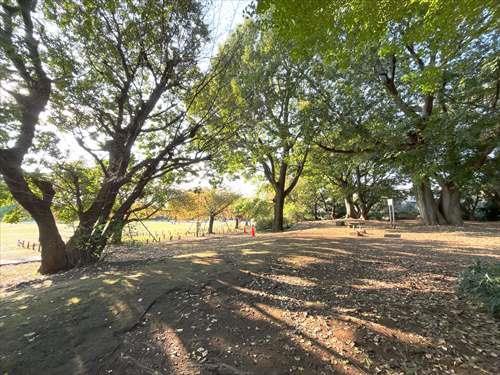 立野公園どんぐり広場口まで160ｍ