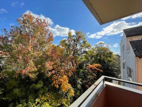 ⑨バルコニーからの眺望