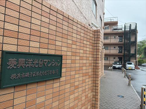 現地写真（2025.7)