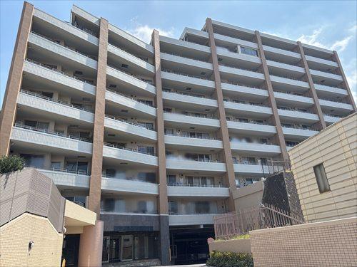 現地写真（2025.8)