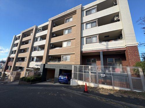 現地写真（2025.12)