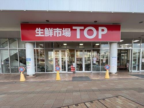 生鮮市場TOP南柏店 420m