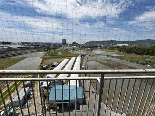 バルコニー（南側）からの眺め