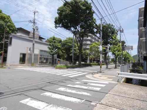 西側前面道路（白川通り）