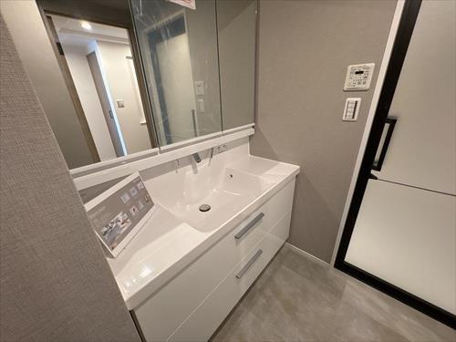 洗面所（シャワー付き洗面化粧台）