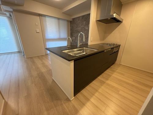 キッチン（食器洗い乾燥機付き）