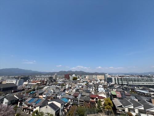 ルーフバルコニーからの眺望