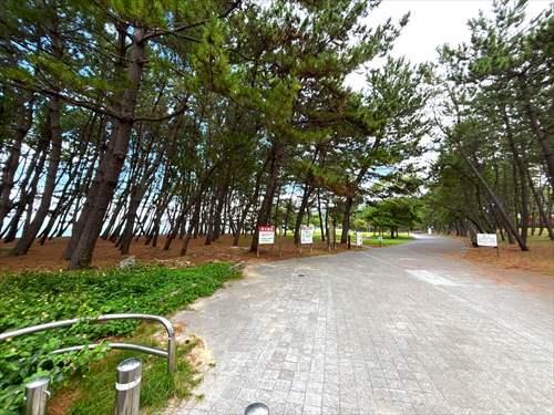 長垂海浜公園80ｍ