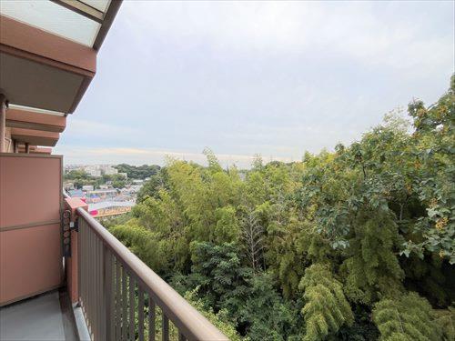 バルコニーからの展望