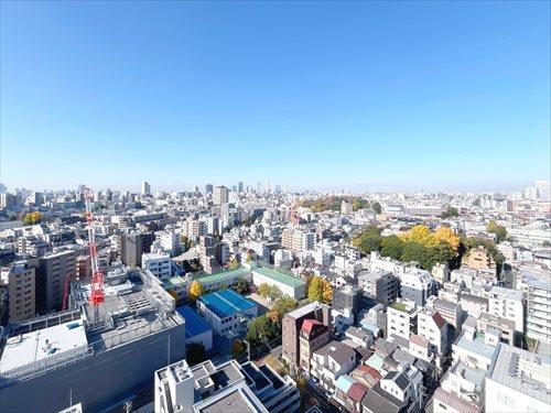 バルコニーからの眺望