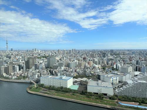 リビングからの眺望