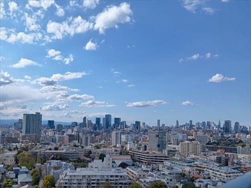 洋室約6.9帖のバルコニーからの眺望