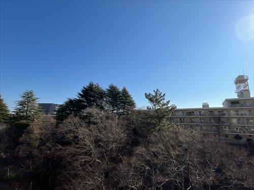 バルコニーからの眺望