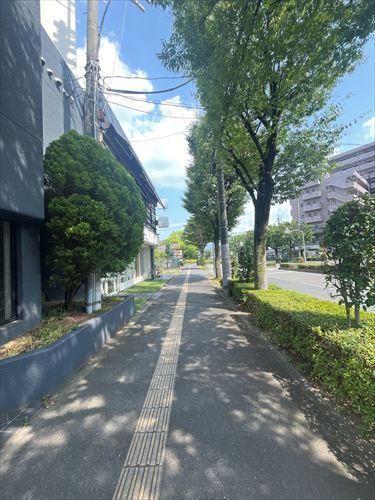 前面道路