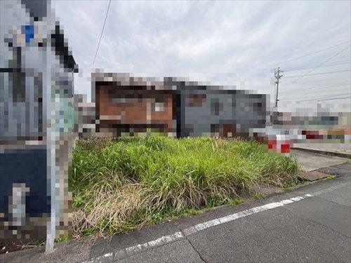 現地(2026年6月撮影)