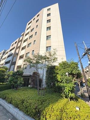 マンション外観（2025年11月）