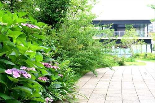 【共用部】シーズンフォレスト