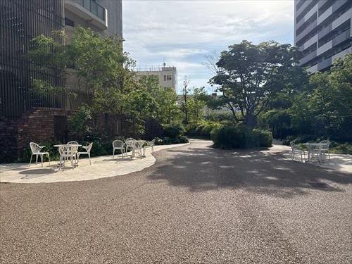 中庭