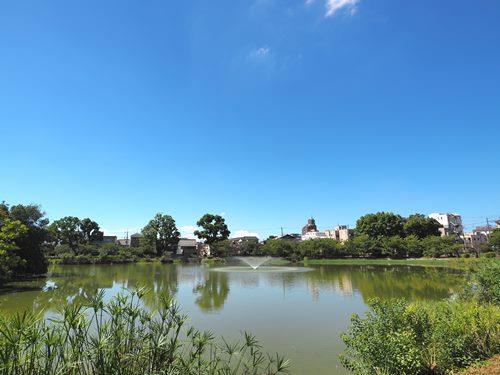 万代池公園 460ｍ