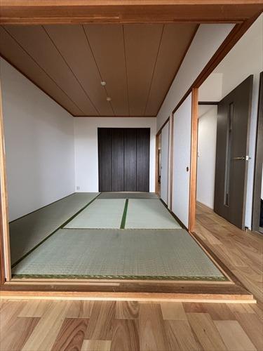 和室6.0帖