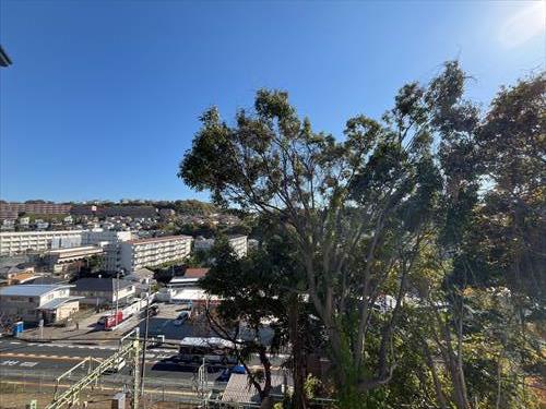 バルコニーからの眺望　令和7年11月撮影