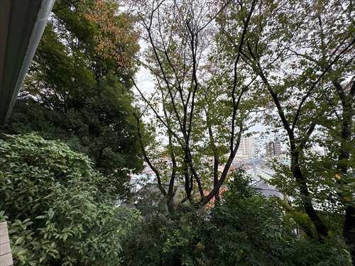 バルコニーからの眺望