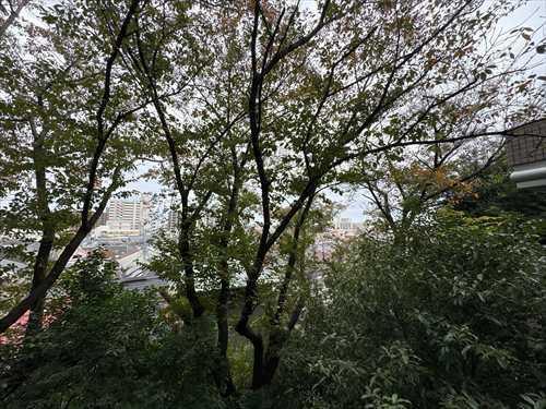 バルコニーからの眺望