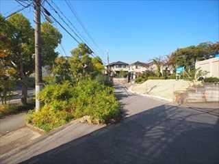 現地+前面道路