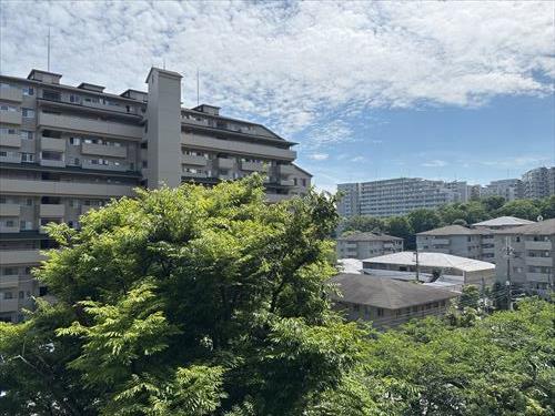 南側バルコニーからの眺望