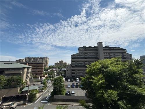 南側バルコニーからの眺望