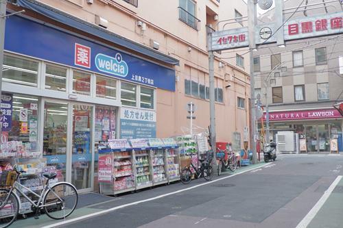 ウエルシア上目黒2丁目店 410m