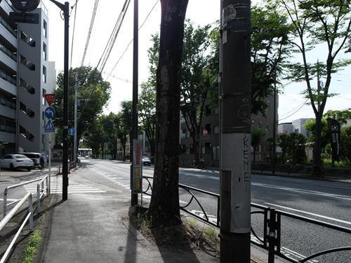前面道路（撮影 2026.05）