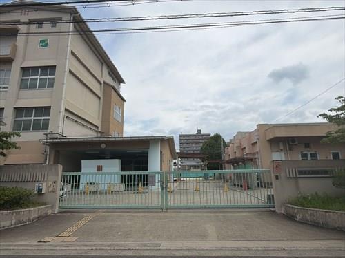 堺市錦西小学校　約222ｍ