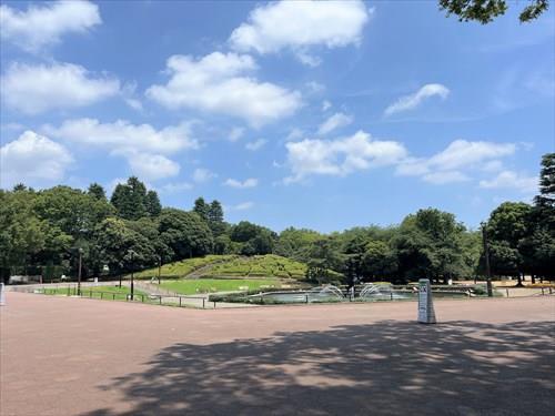 世田谷公園まで480m