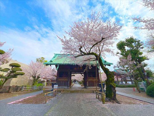 祐天寺まで450m