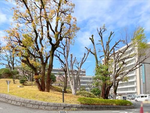目黒区役所まで410m