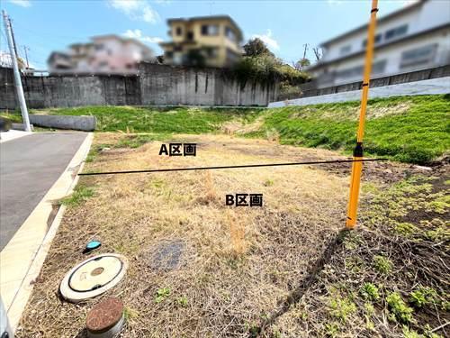 現地写真（2026年3月撮影）
