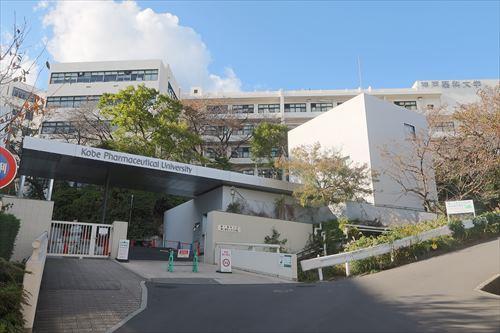 神戸薬科大学　500ｍ