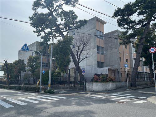 精道小学校まで800ｍ（徒歩10分）