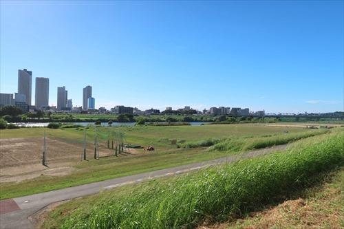 多摩川土手まで150m