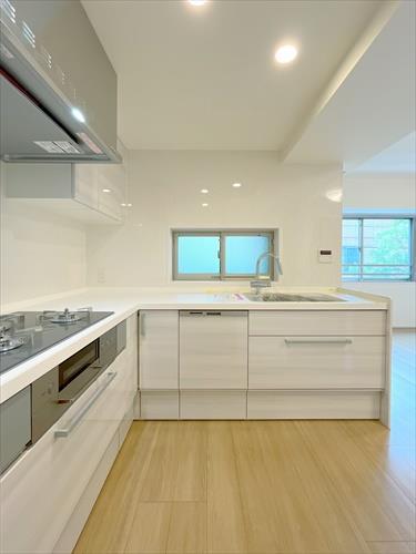 キッチン(換気扇・コンロ・グリル)