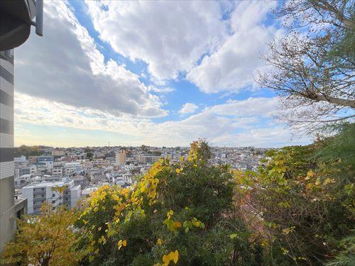 1階共用部からの眺望