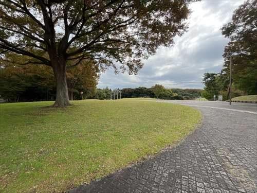 根岸森林公園まで180m