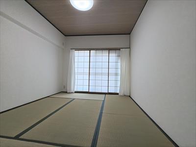 和室6.0帖