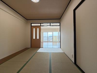和室6.0帖