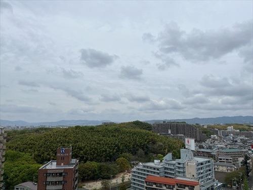 東側バルコニーからの景色