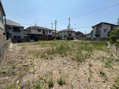 現地写真（※2号地は写真左側）