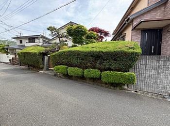 5月15日現地写真