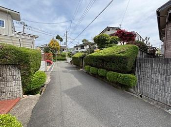 5月15日現地写真