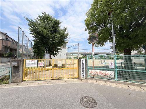 川口市立慈林小学校まで860m